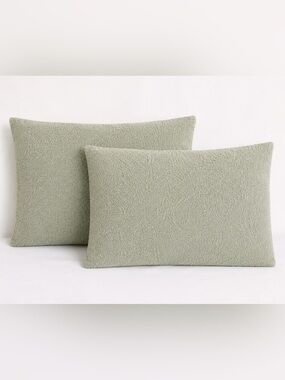 Sunday Citizen Sage Green Teddy Sherpa Standard Pillow Shams Set of 2